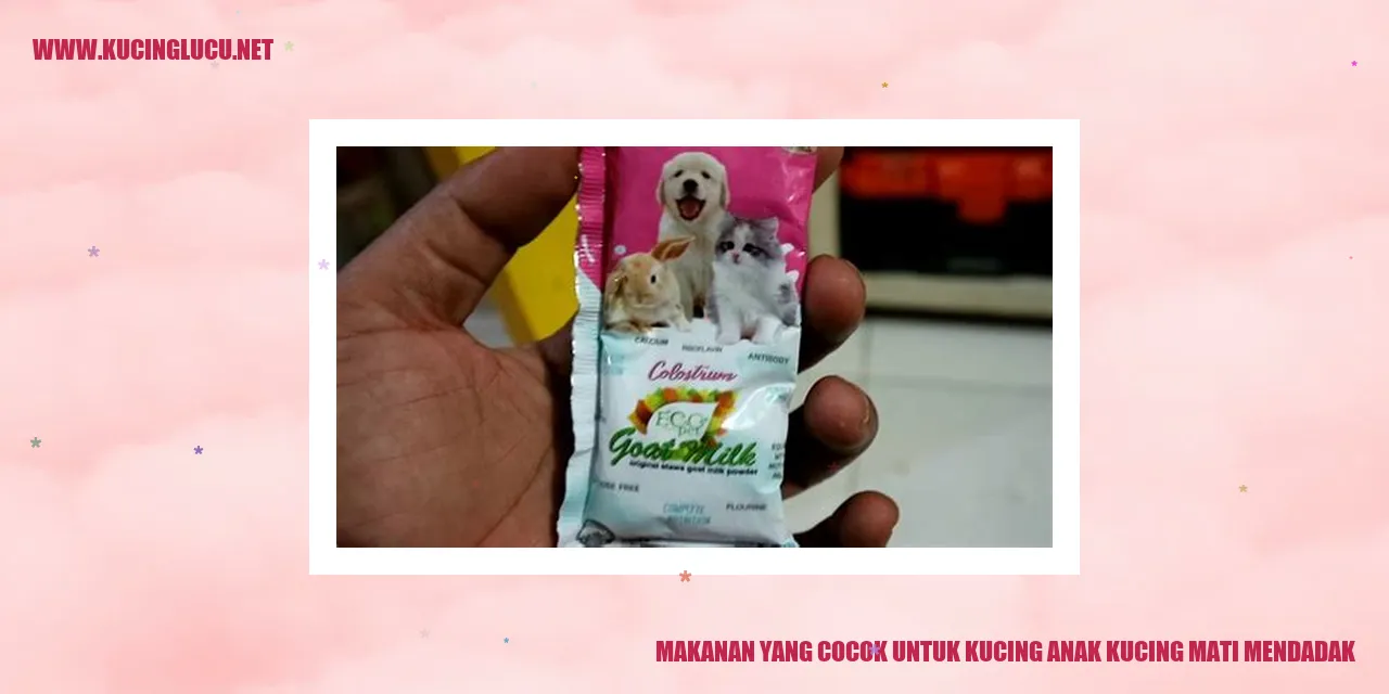 Gambar kucing makan