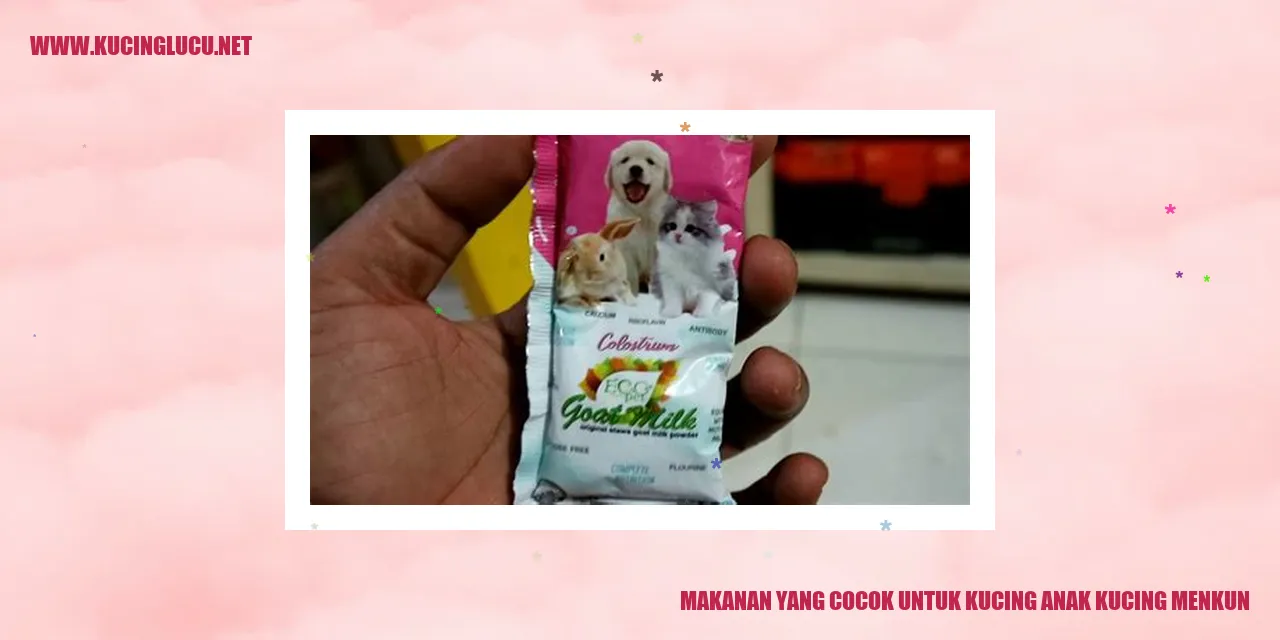 Makanan yang Cocok untuk Kucing Anak Kucing Menkun