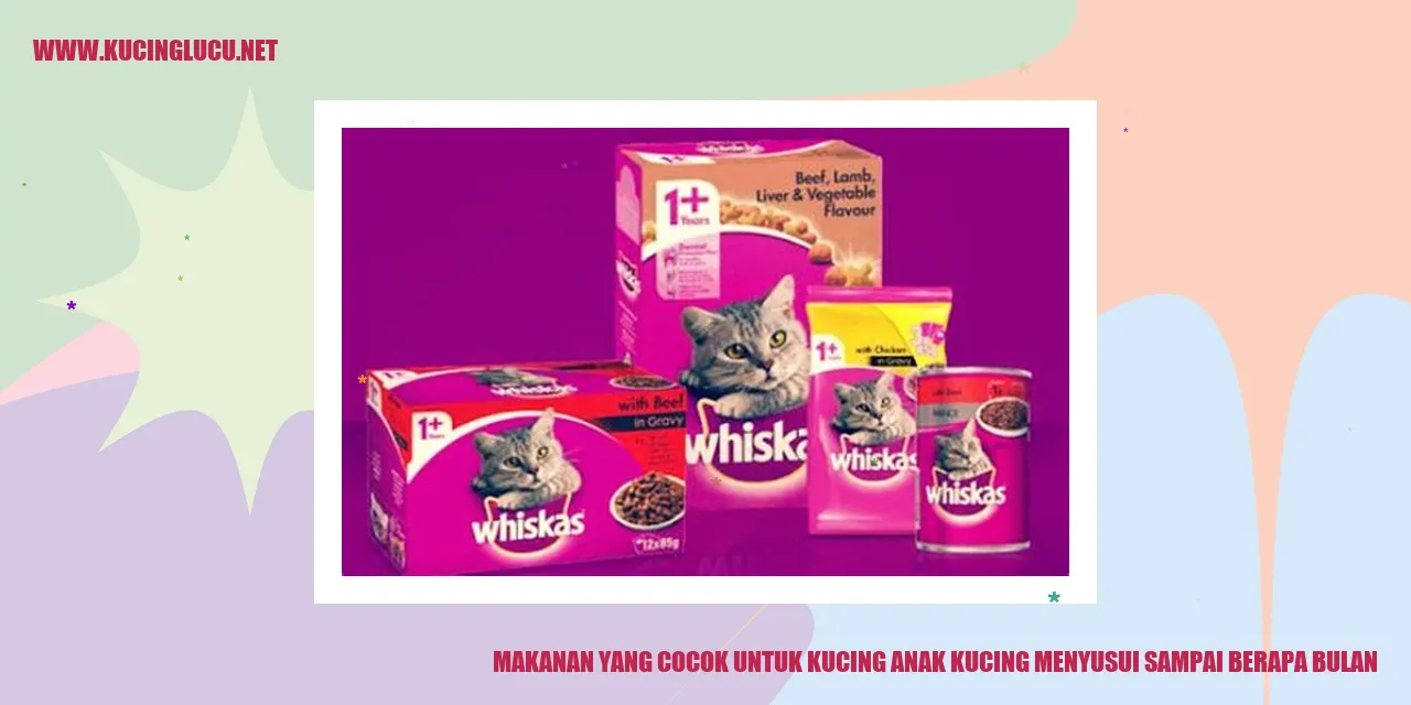 Makanan untuk Kucing Anak Kucing Menyusui