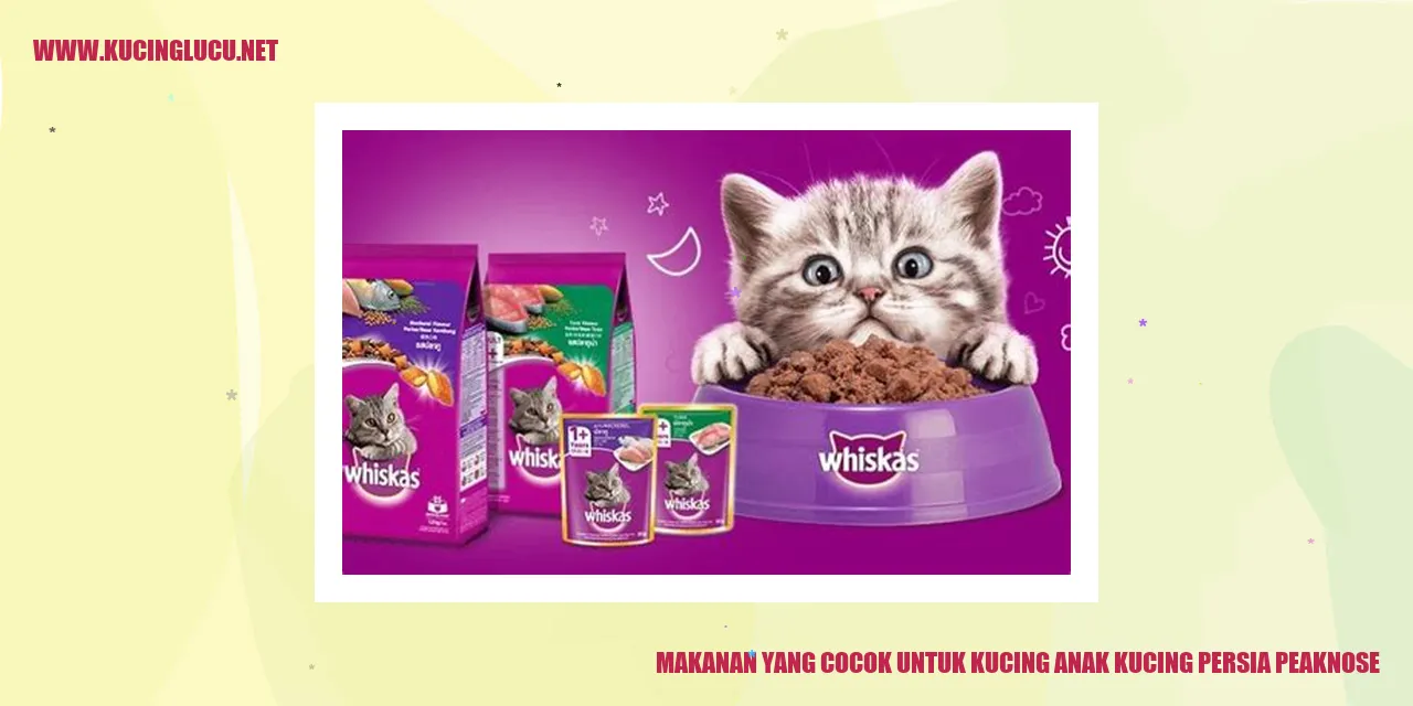 Gambar Kucing Persia Peaknose