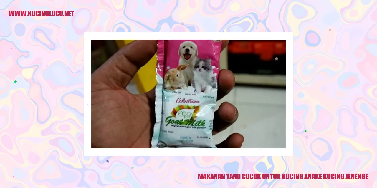 Makanan Kucing