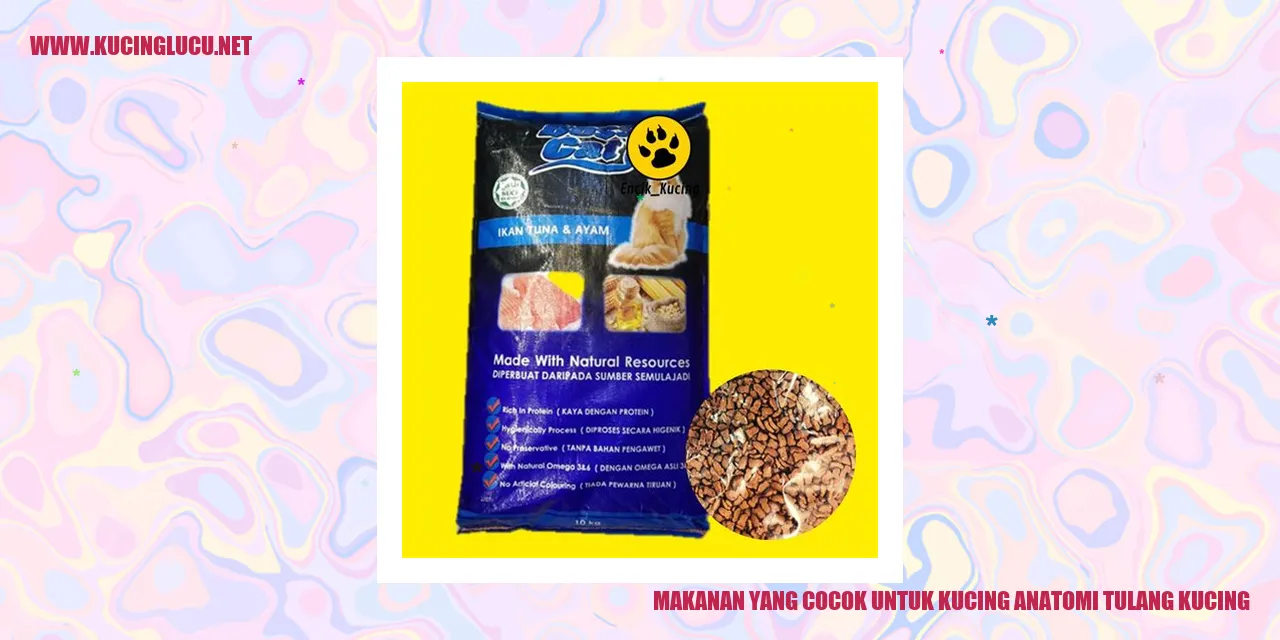 Makanan yang Cocok untuk Kucing dan Anatomi Tulang Kucing
