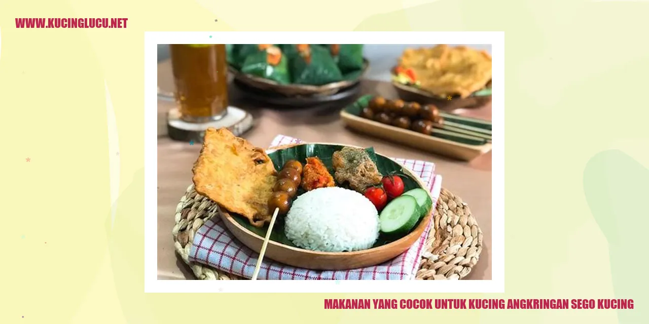 Makanan yang Cocok untuk Kucing Angkringan Sego Kucing