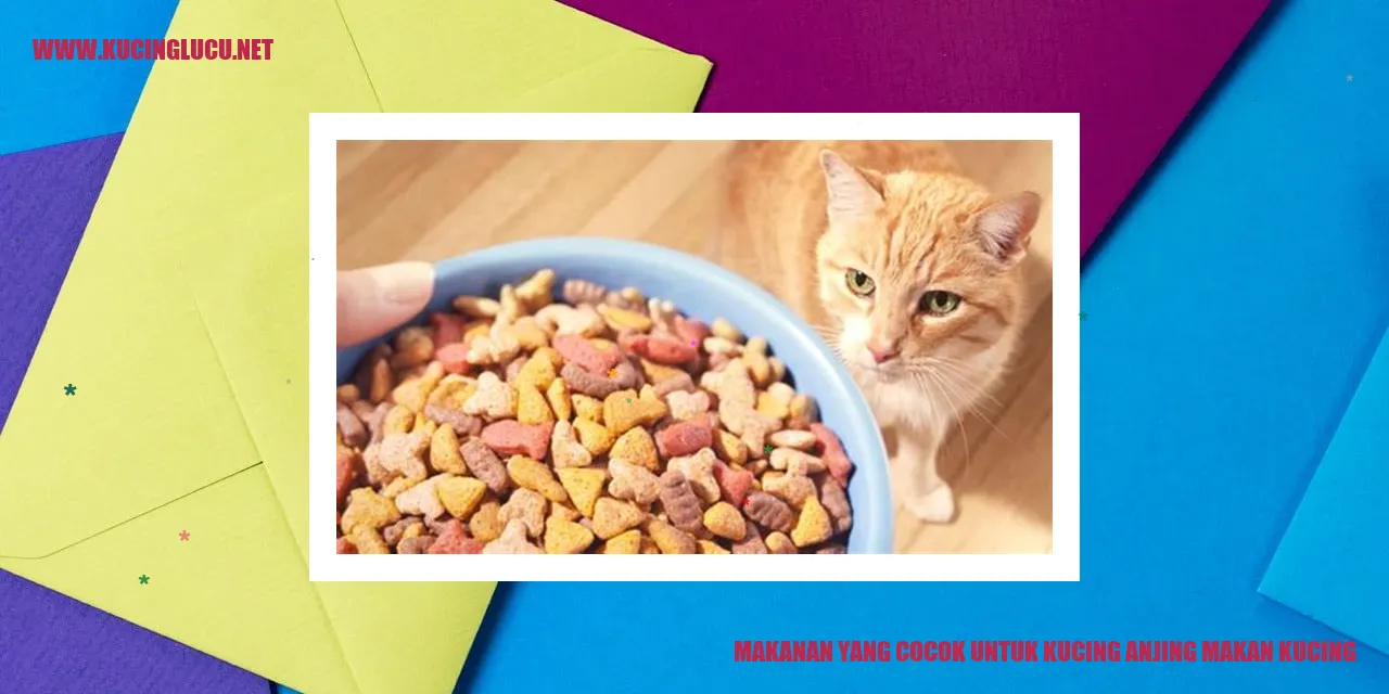 Makanan untuk Kucing yang Dipatok oleh Anjing