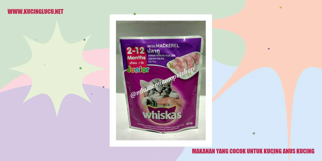 Makanan yang Cocok untuk Kucing Anakan