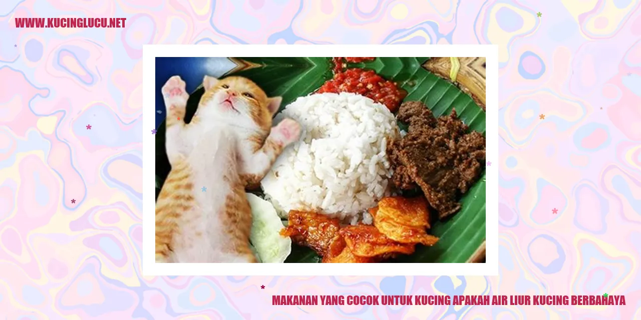 Gambar Kucing yang Lucu