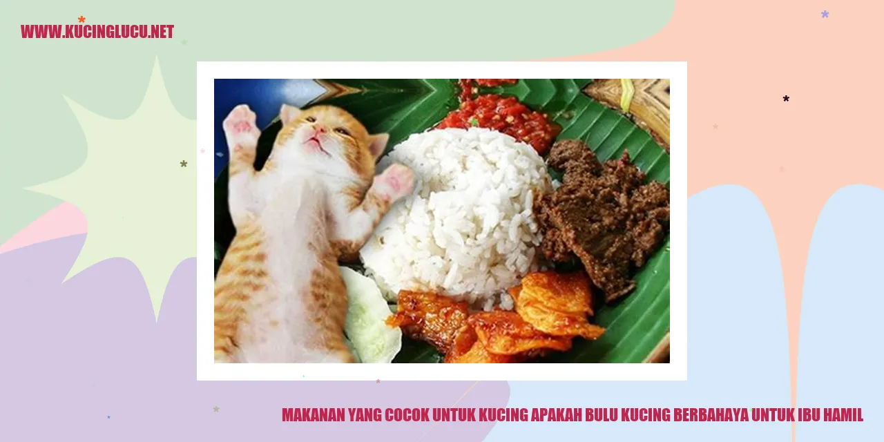 Makanan yang Cocok untuk Kucing apakah bulu kucing berbahaya untuk ibu hamil
