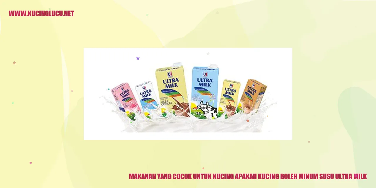 Gambar Kucing Makan