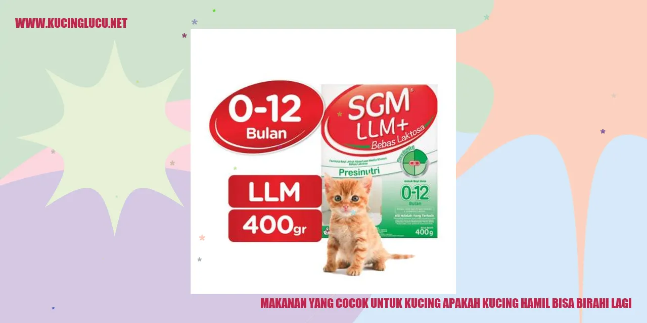 Makanan yang Cocok untuk Kucing