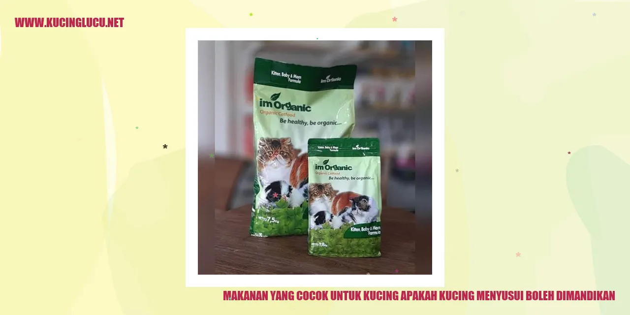 Makanan yang Cocok untuk Kucing apakah kucing menyusui boleh dimandikan