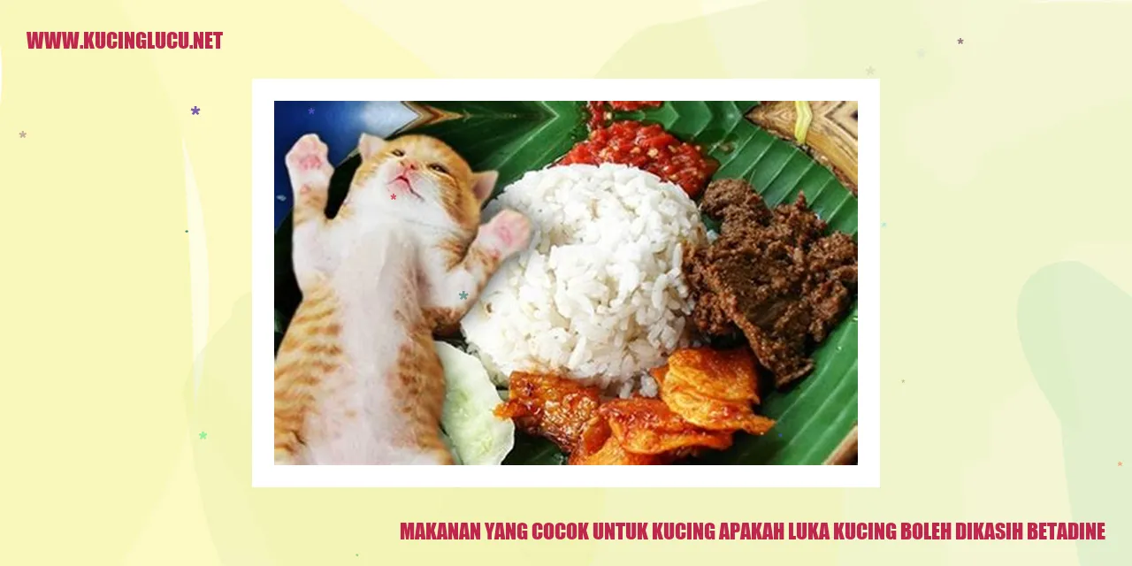 Makanan yang Cocok untuk Kucing