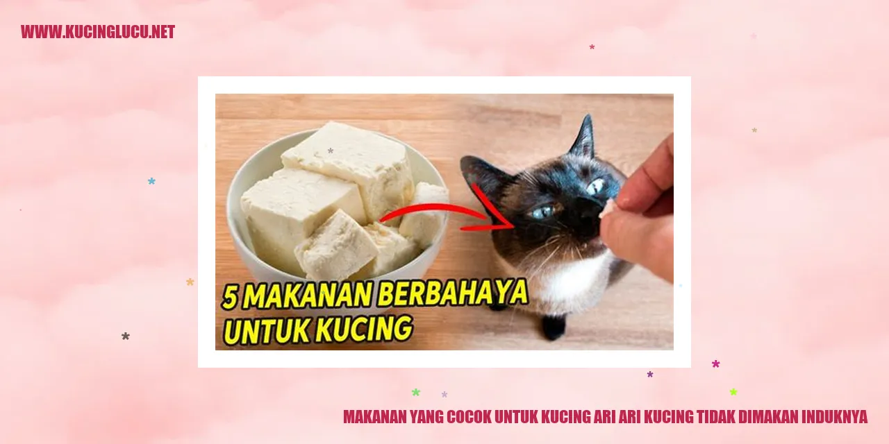 Makanan Ideal untuk Kucing