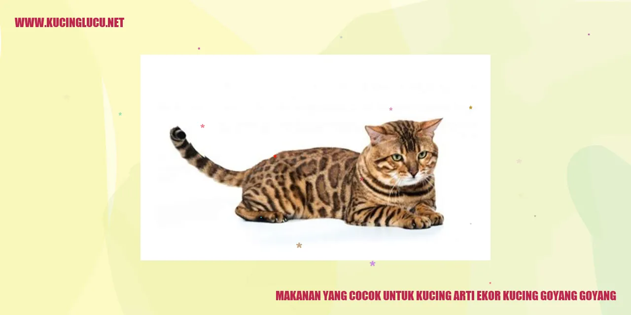 Gambar Kucing yang Sedang Makan