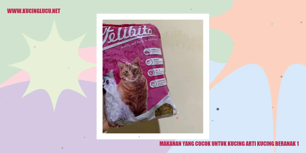 Kucing sedang melahirkan