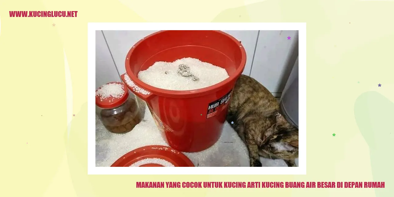 Makanan yang Cocok untuk Kucing