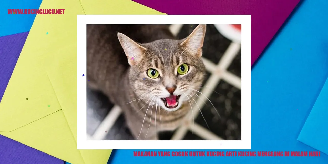 Makanan yang Cocok untuk Kucing