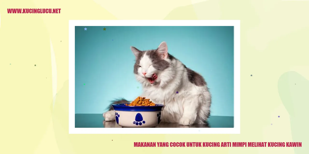 Makanan yang Cocok untuk Kucing