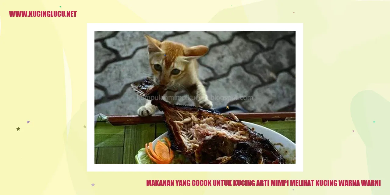 Makanan yang Cocok untuk Kucing