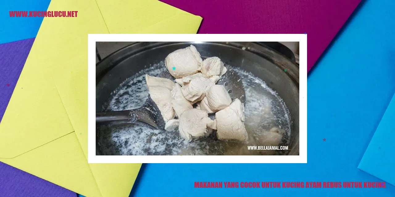 Ayam rebus untuk kucing