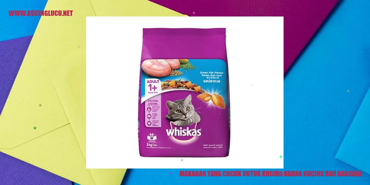 Makanan yang Cocok untuk Kucing badan kucing bau bangkai
