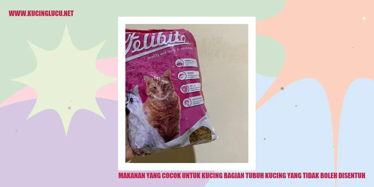 Gambar kucing