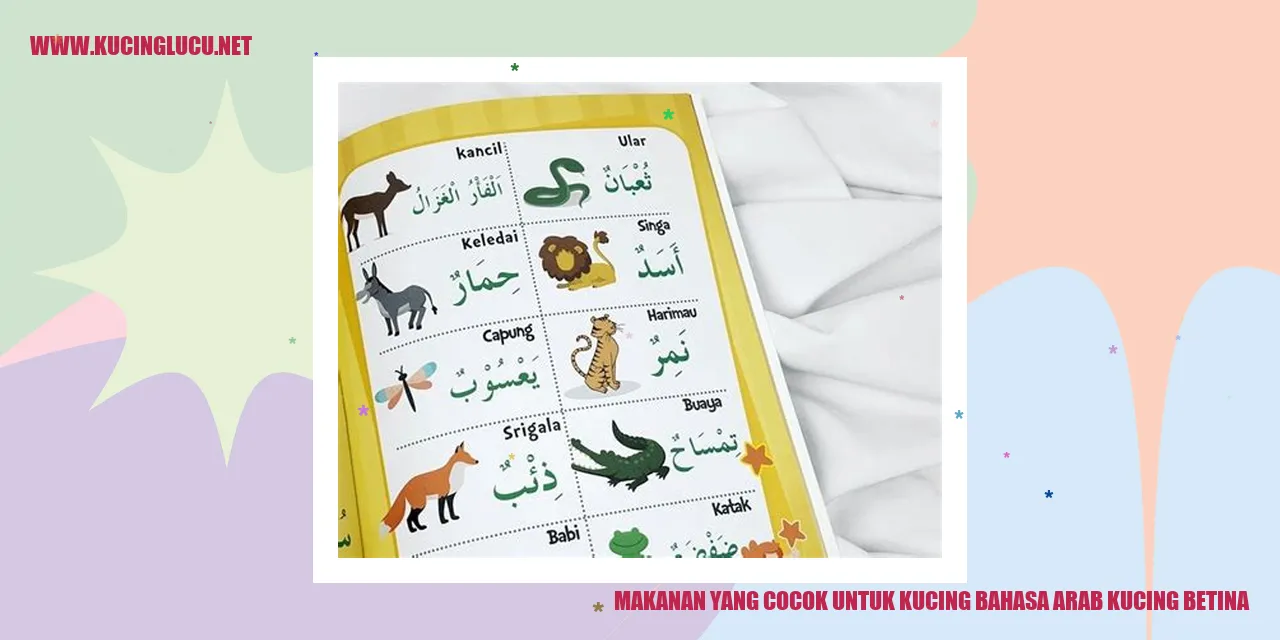 Gambar Kucing Betina