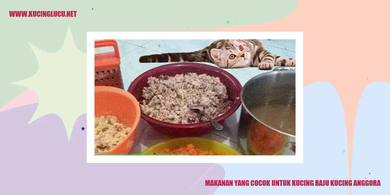 Kucing Anggora