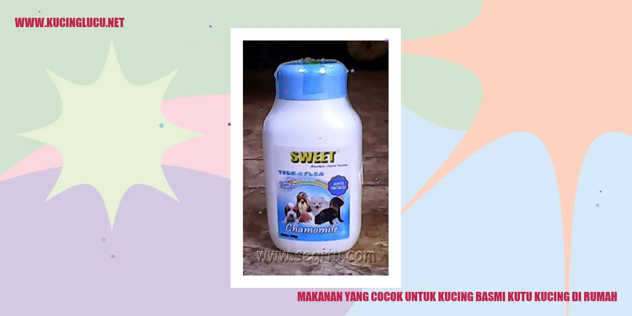 Gambar Makanan Kucing