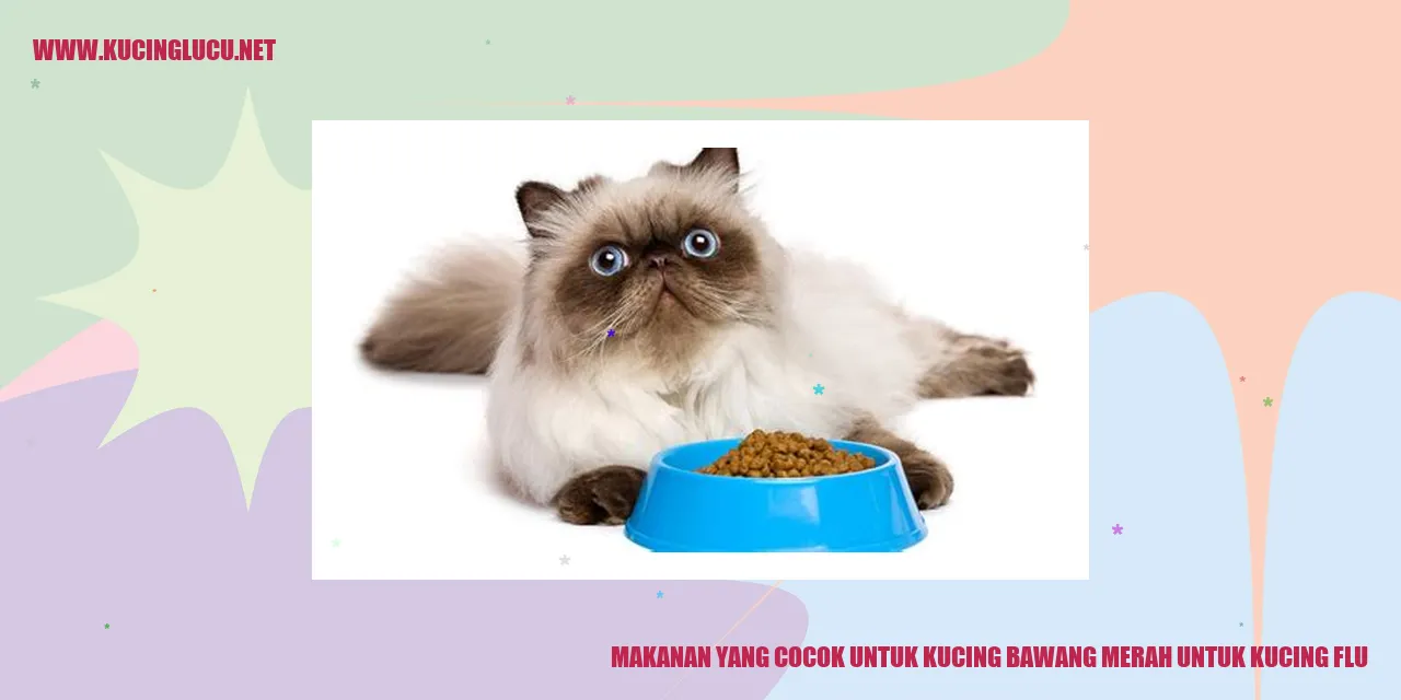 Makanan untuk Kucing Flu