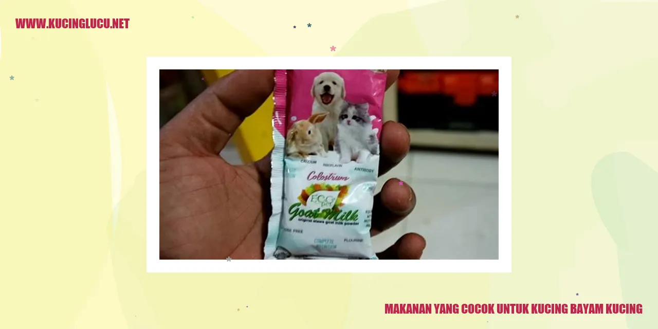 Gambar Kucing yang Menikmati Makan Bayam