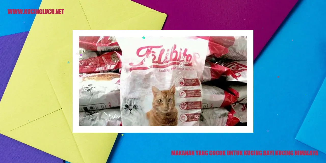 Gambar Kucing Himalaya