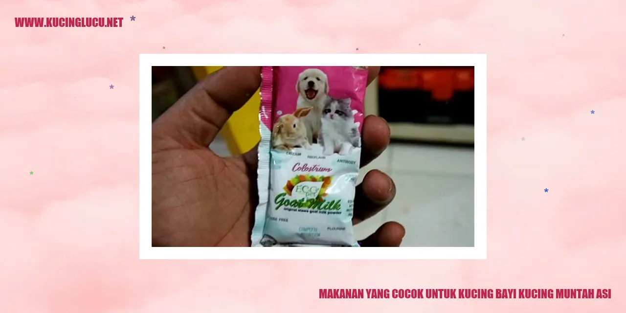 Gambar Makanan Kucing Bayi