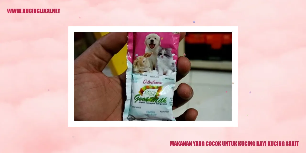 Makanan yang Cocok untuk Kucing Bayi yang Sakit