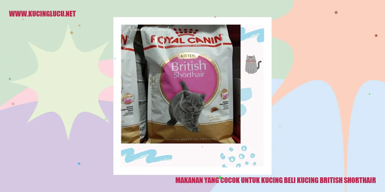 Makanan Kucing British Shorthair