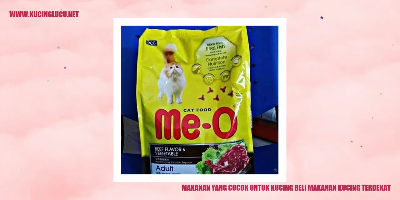Pilihan Makanan untuk Kucing