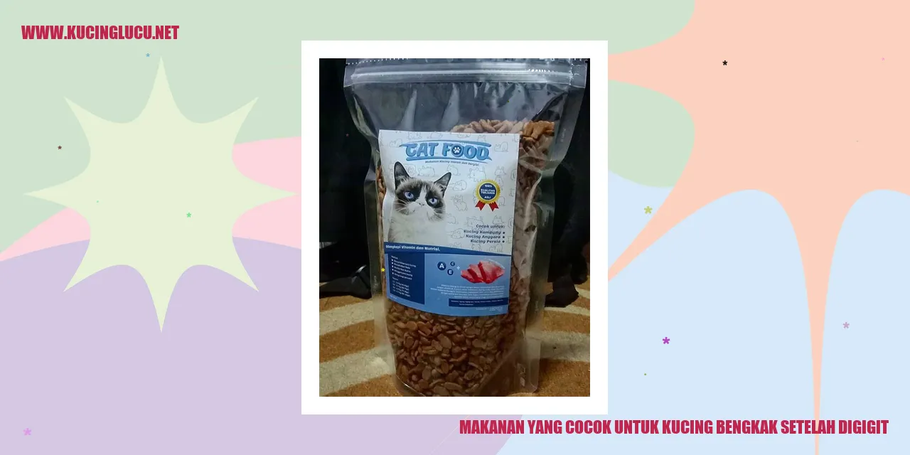 Makanan yang Cocok untuk Kucing Bengkak Setelah Digigit