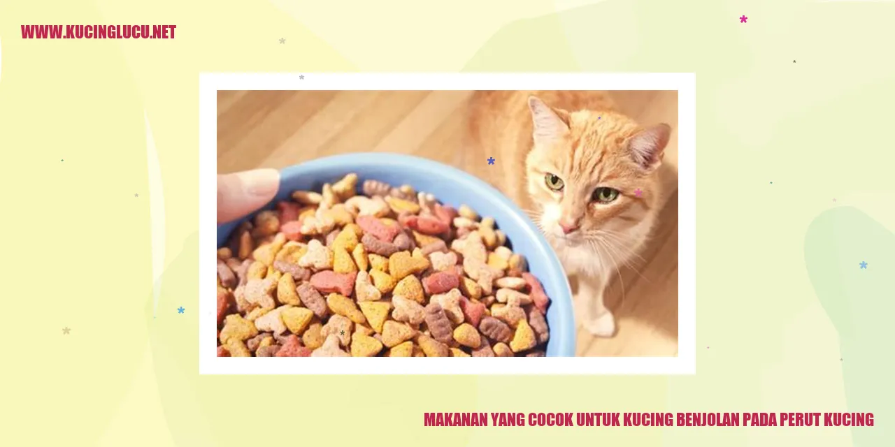 Gambar Kucing