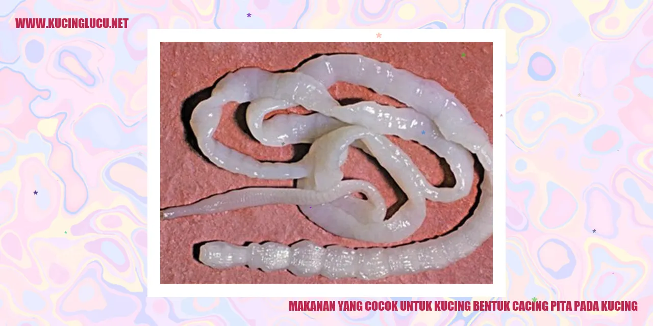 Makanan yang Cocok untuk Kucing dengan Cacing Pita