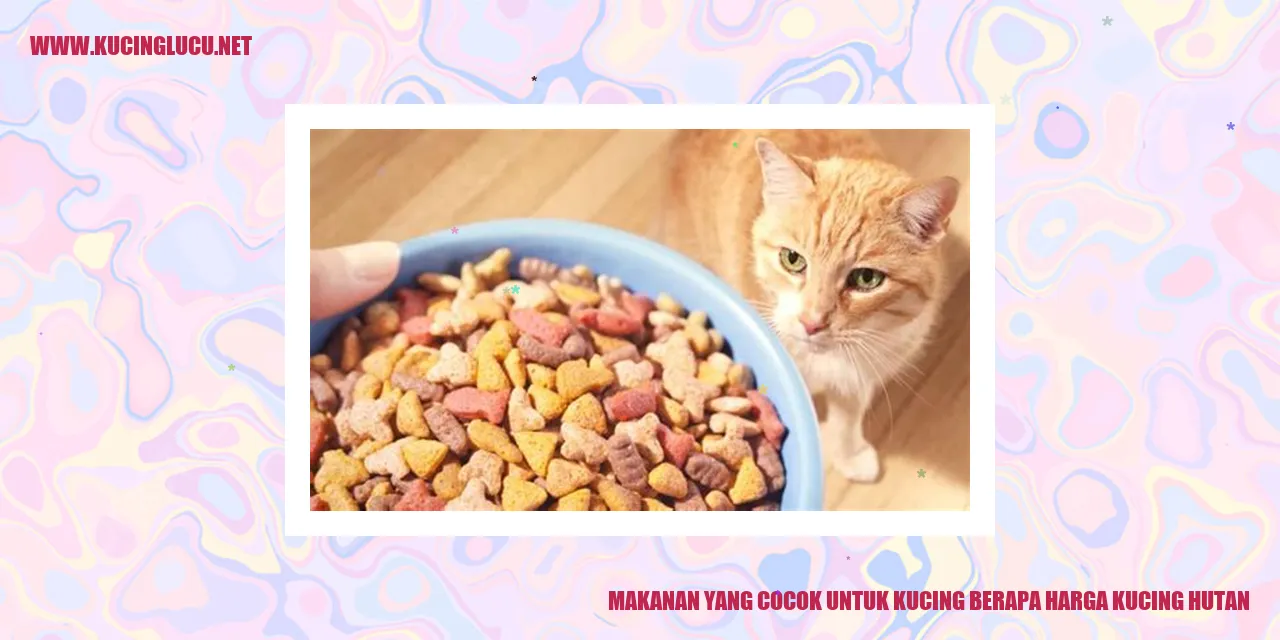 Makanan yang Cocok untuk Kucing berapa harga kucing hutan