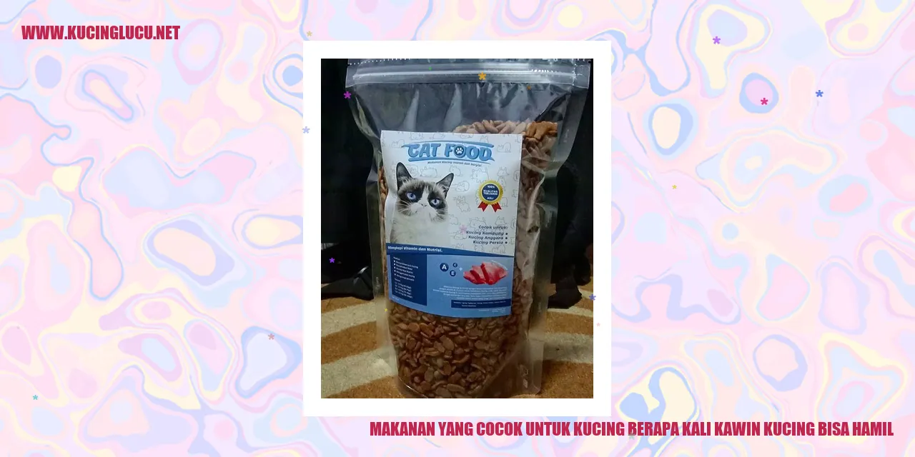 Makanan yang Cocok untuk Kucing berapa kali kawin kucing bisa hamil