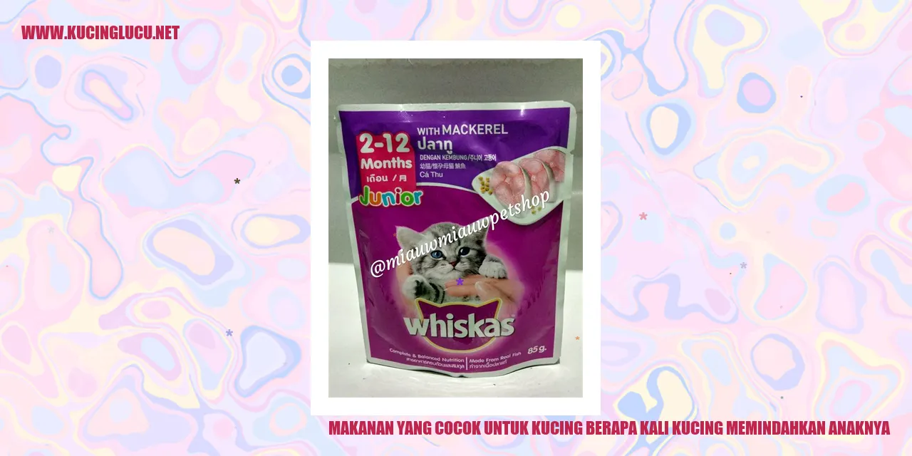 Gambar Kucing dan Anaknya