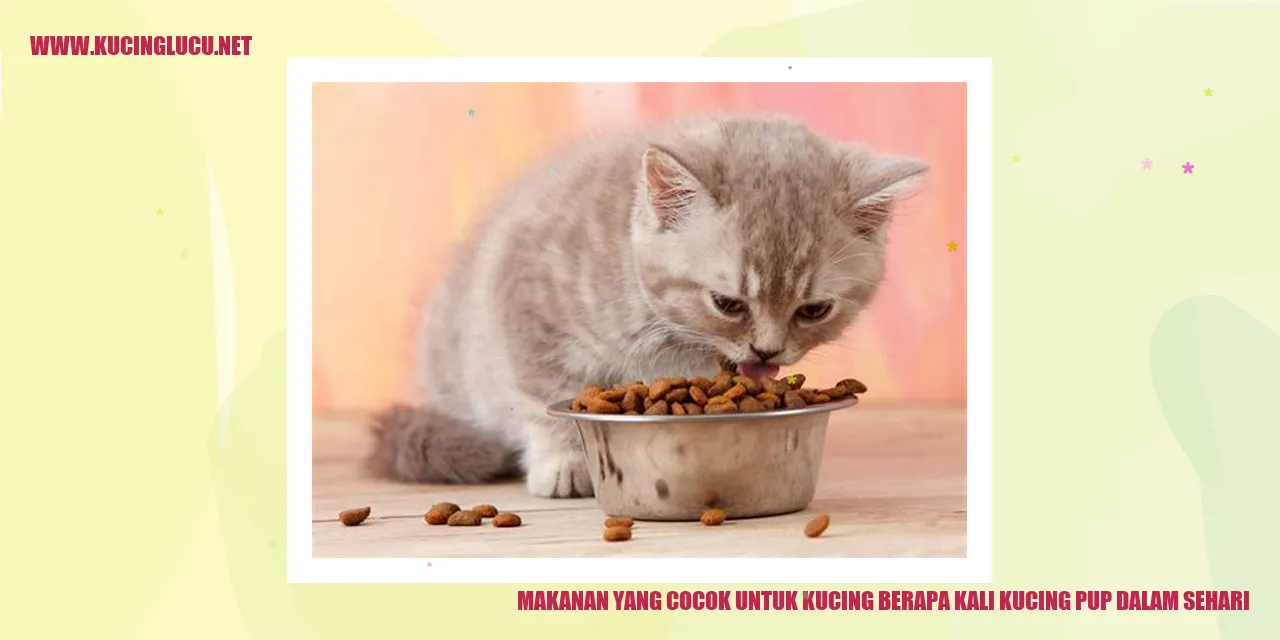Makanan yang Cocok untuk Kucing berapa kali kucing pup dalam sehari