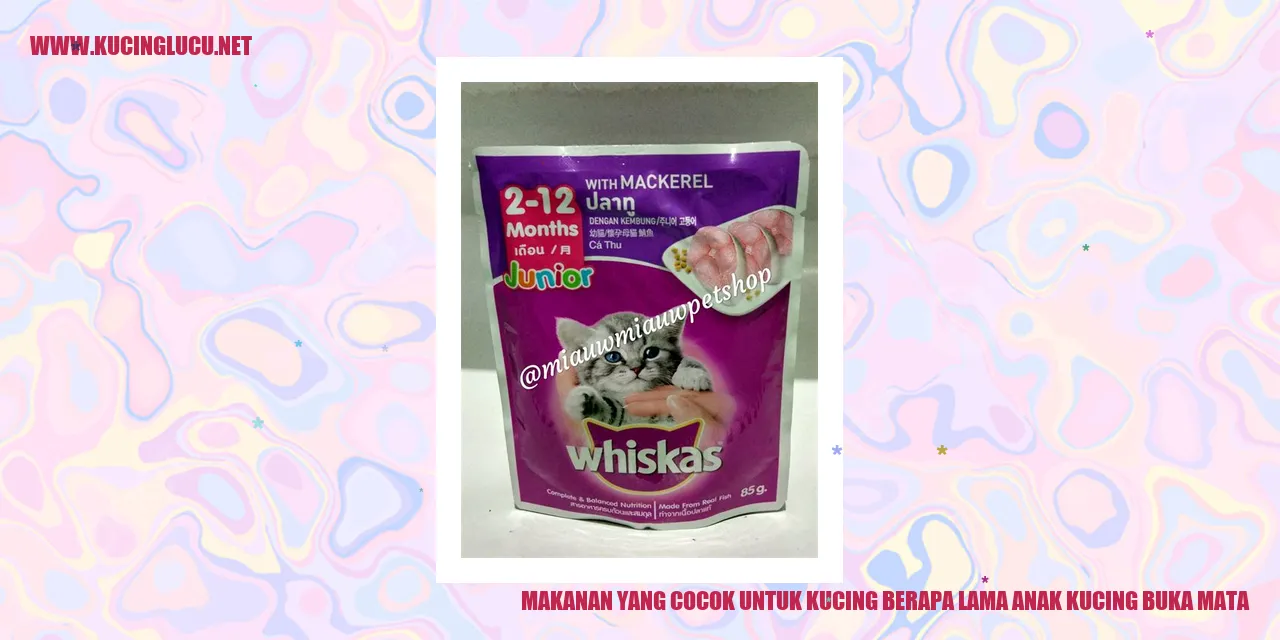 Gambar makanan kucing