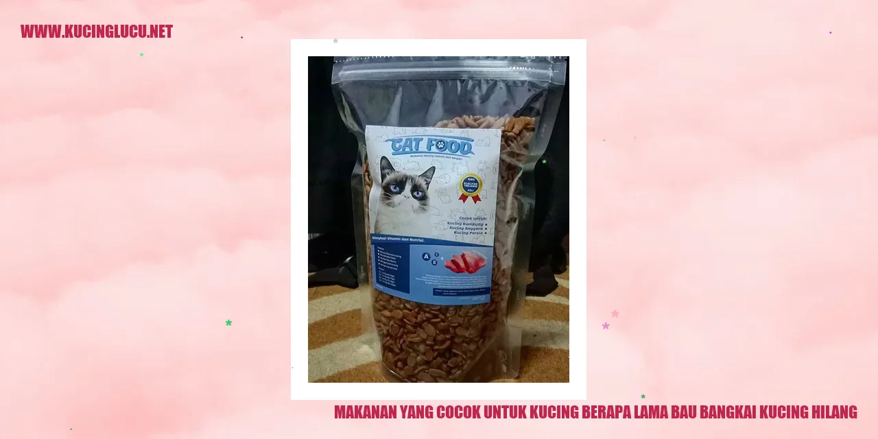 Makanan untuk Kucing