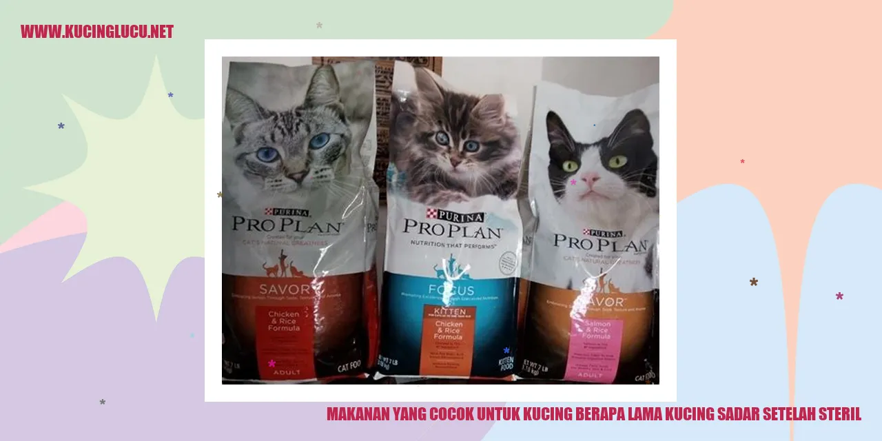 Makanan yang Cocok untuk Kucing