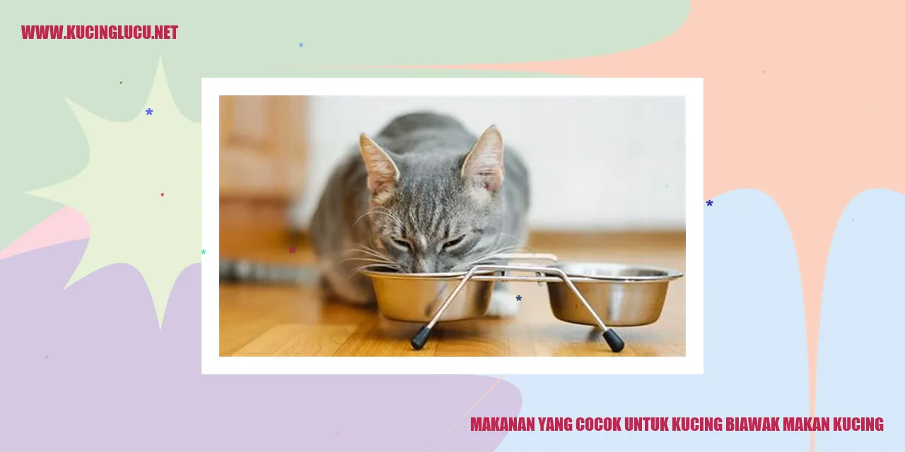 Makanan untuk Kucing Biawak