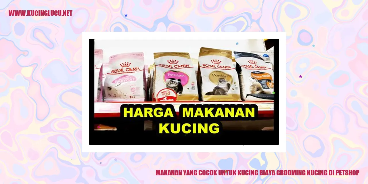 Makanan yang Cocok untuk Kucing