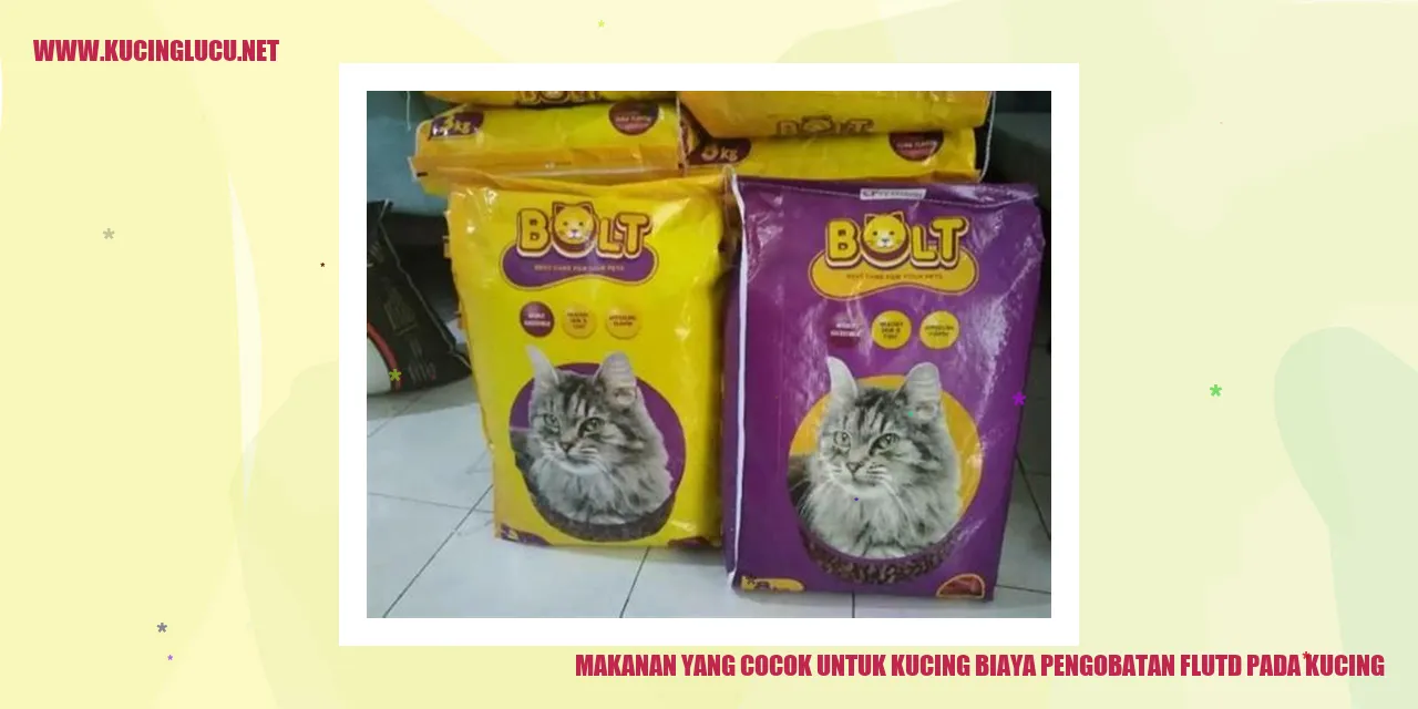 Makanan yang Cocok untuk Kucing biaya pengobatan flutd pada kucing