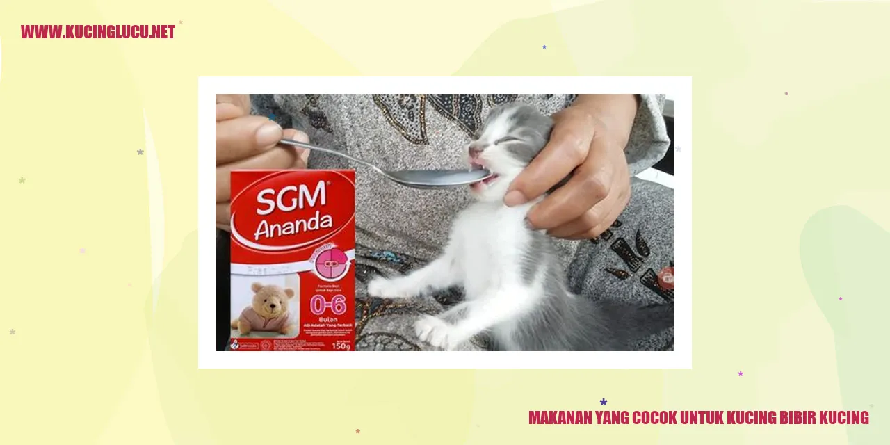Gambar kucing makan