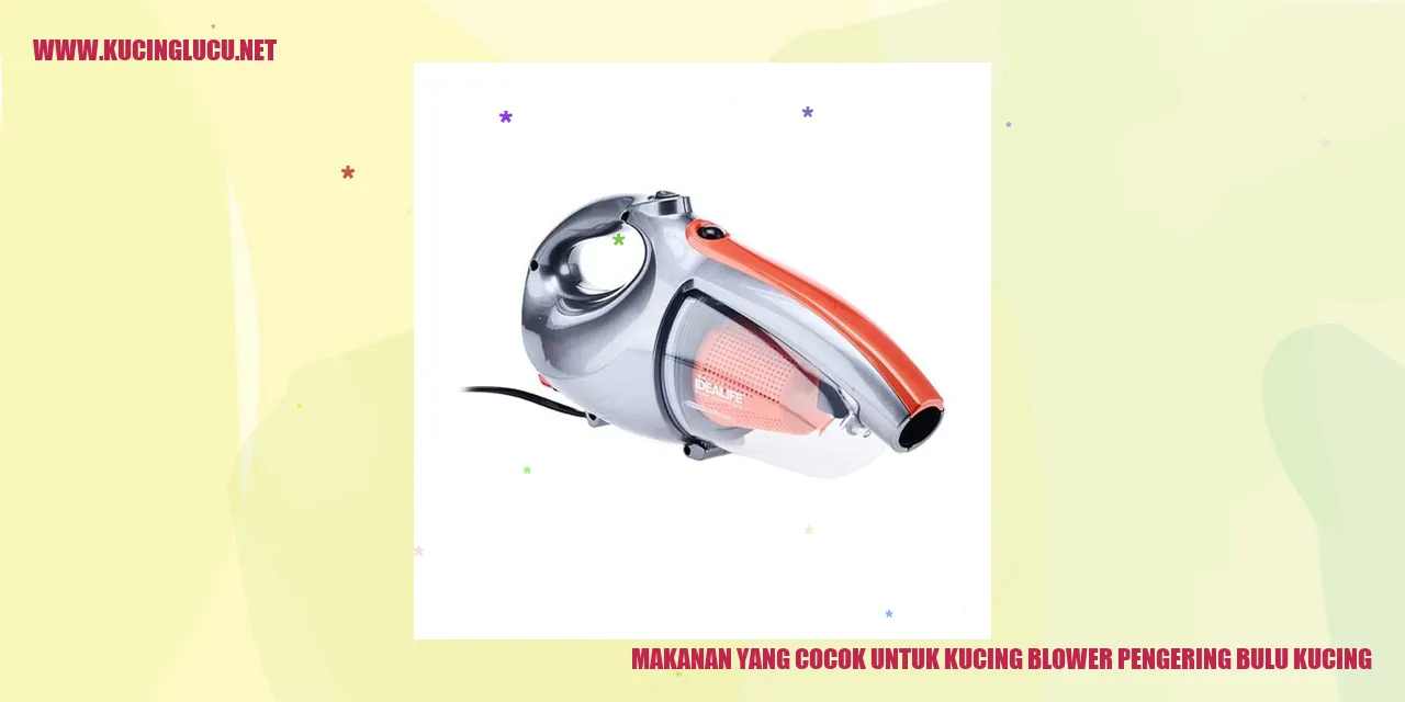 Makanan yang Cocok untuk Kucing blower pengering bulu kucing